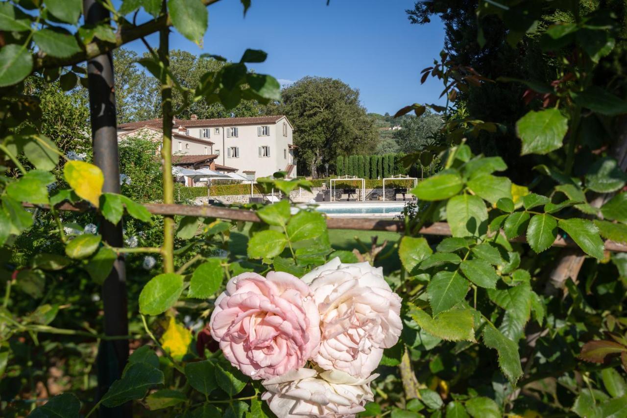Villa Pitti Amerighi - Residenza D'Epoca 피에베아니에볼레 외부 사진